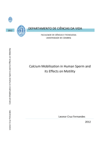 Calcium Mobilisation in Human Sperm and its Effects