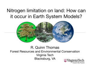 Nitrogen limitation on land: How can it occur in Earth System Models?