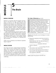 The Brain - HallquistCPHS.com