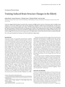 Training-Induced Brain Structure Changes in the Elderly