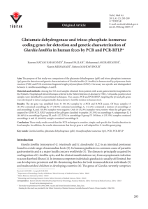 Glutamate dehydrogenase and triose-phosphate