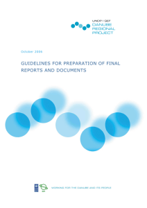 guidelines for preparation of final reports and documents