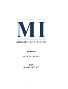 Merage Institute Innovation Bridge Leadership Program