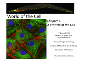 World of the Cell: Chapter 1