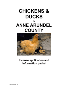 Chicken and Duck Information Packet