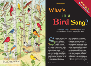 What's in a Bird Song? - Minnesota Department of Natural Resources