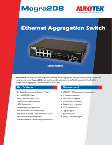 Ethernet Aggregation Switch Mogra208 - MRO-TEK