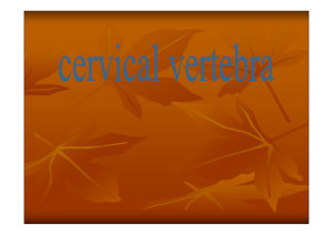 cervical vertebra