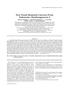 New fossil hominid calvaria from Indonesia