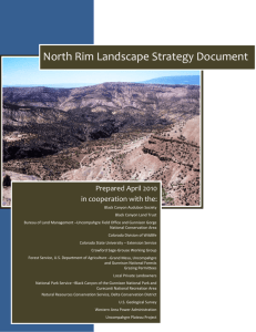 North Rim Landscape Strategy Document