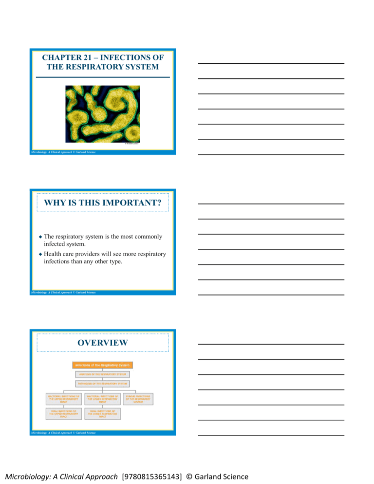 Chapter Infections Of The Respiratory System