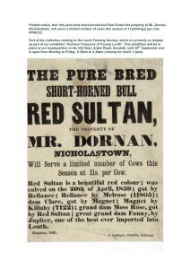 the pure bred short-horned bull Red Sultan the property of Mr