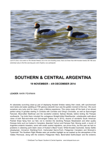 SOUTHERN & CENTRAL ARGENTINA