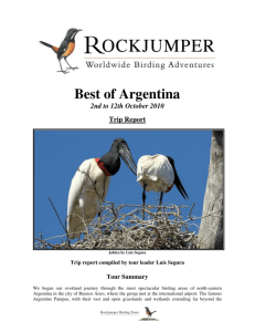 Best of Argentina - Rockjumper Birding Tours
