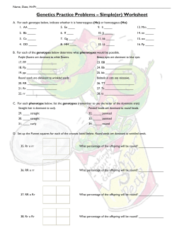 Genetics Practice Answer Key