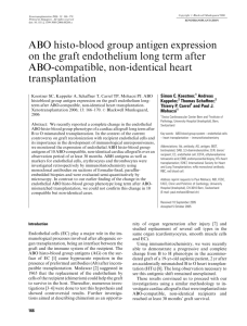 ABO histo-blood group antigen expression on the graft endothelium