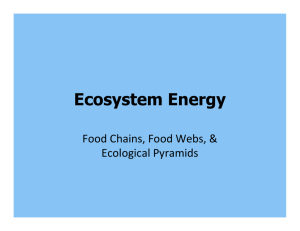 Ecosystem Energy