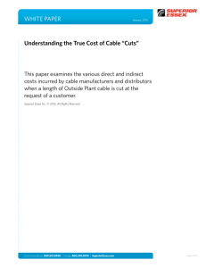 WHITE PAPER Understanding the True Cost of Cable “Cuts”