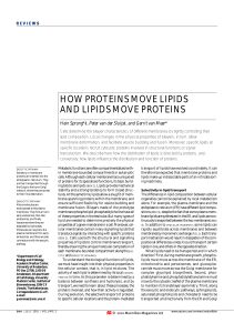 how proteins move lipids and lipids move proteins