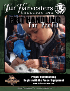 Pelt Handling For Profit - Fur Harvesters Auction Inc.