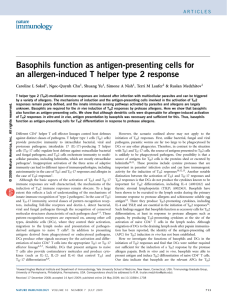 Basophils function as antigen-presenting cells for an allergen