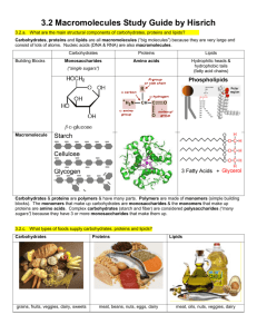 3.2 Macromolecules Study Guide by Hisrich