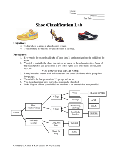 Shoe Classification Lab 2011-12