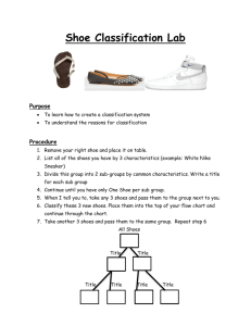 Shoe Classification Lab
