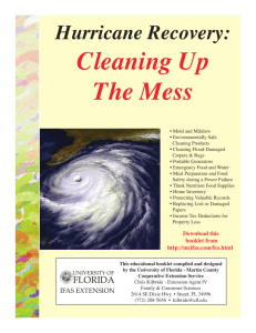Hurricane Recovery: Cleaning Up the Mess