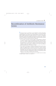 Recombination of Antibiotic Resistance Genes