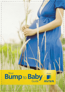 the bump to baby guide as pdf