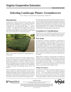 Selecting Landscape Plants: Groundcovers