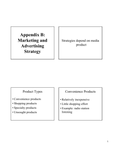 Appendix B: Marketing and Advertising Strategy