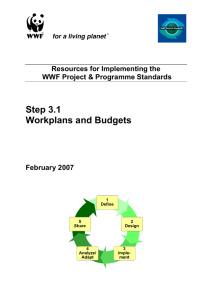 Budgets And Workplans