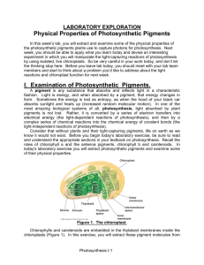Physical Properties of Photosynthetic Pigments I. Examination of