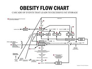 Obesity Flow Chart of Causes
