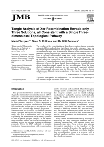 Tangle Analysis of Xer Recombination Reveals only Three Solutions