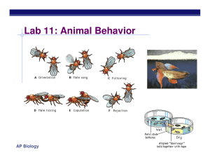 Lab 11: Animal Behavior