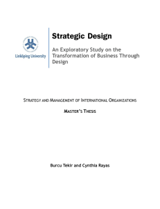 Tekir And Rayas_Strategic Design