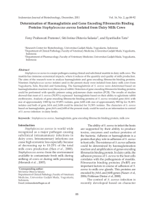 Determination of Haemaglutinin and Gene Encoding Fibronectin
