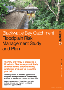 Blackwattle Bay Floodplain Risk Management