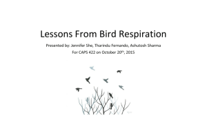 Lessons From Bird Respiration