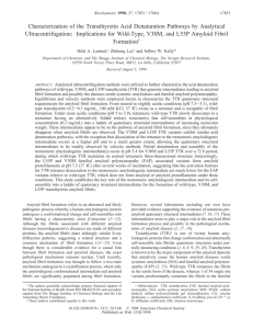 Characterization of the Transthyretin Acid Denaturation Pathways by
