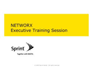 NETWORX Executive Training Session - Sprint
