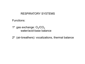 RESPIRATORY SYSTEMS Functions: 1º gas exchange: O /CO water