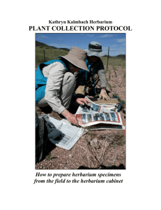 plant collection protocol