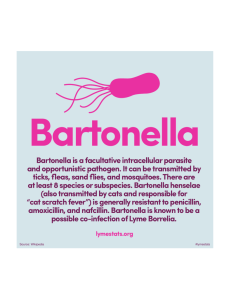 Bartonella is a facultative intracellular parasite and