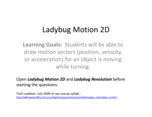 Ladybug Motion 2D