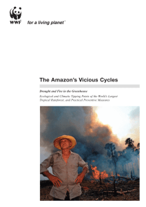 The Amazon's Vicious Cycles