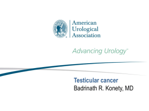 Testicular Cancer - American Urological Association